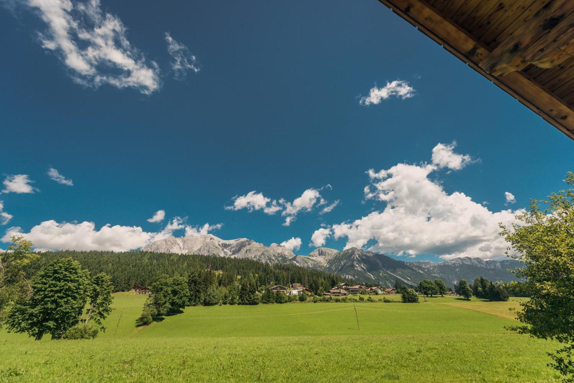 Naturchalet Hoeflehner - Heimgefuehl & Ruhelage An Loipe & Wanderweg Рамзау-ам-Дахштайн Екстер'єр фото